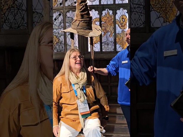 Vídeo relacionado con Widdop and Co Warner Bros Harry Potter Alumni - Pancarta colgante Gryffindor