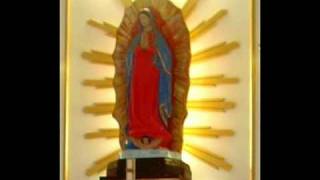 preview picture of video 'Nossa Senhora de Guadalupe'