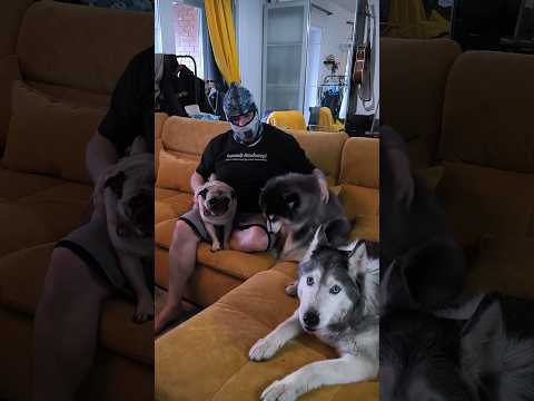 Верные защитники