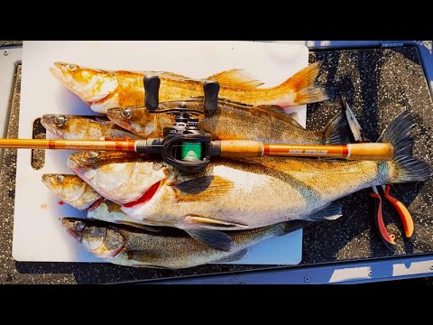 NÄISTÄ PAIKOISTA LÖYDÄT KUHAT | KUHAN KALASTUS | ETSIVÄ LÖYTÄÄ | KUHAN JIGIKALASTUS | ORKA KING CRAB