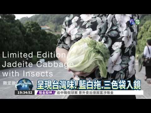 讓世界看見台灣 藍白拖拚外交