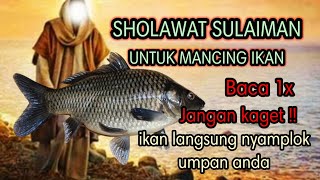 Download lagu SHOLAWAT SULAIMAN UNTUK MANCING IKAN - Ikan langsung kumpul dan makan umpan anda mp3 Download lagu SHOLAWAT SULAIMAN UNTUK MANCING IKAN - Ikan langsung kumpul dan makan umpan anda mp3