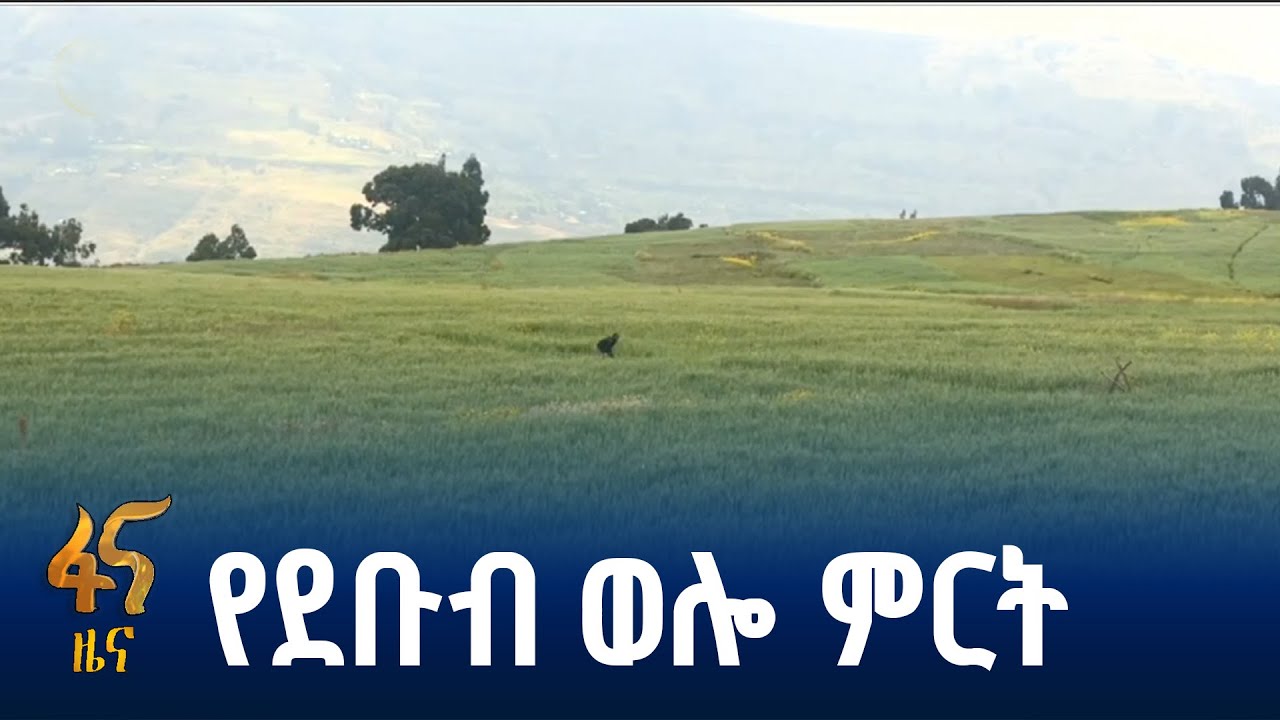 ብክነት የቀነሰ የምርት አሰባሰብ