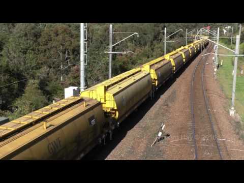 G513, SSR102 & SSR101 - Empty Grain - September 30th 2016