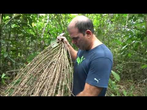 https://www.youtube.com/watch?v=PzAQgYCaupc&t=33s