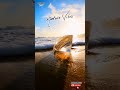Iyarkai Bgm Nature Vibes AJ Dream Music Subscribe My Channel Friends