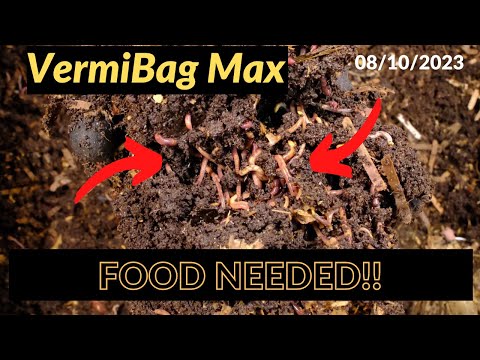 Vermibag Max -  30 Day Update 07/11/2023
