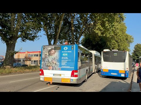 STCP - [KICKDOWN] Ligne 205 Man Lion's City A23 €4 GNV Voith n*1101