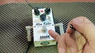 รีวิว Shark Moo kalei หมูชาวเล็ก คุณ ธันยบดินทร์