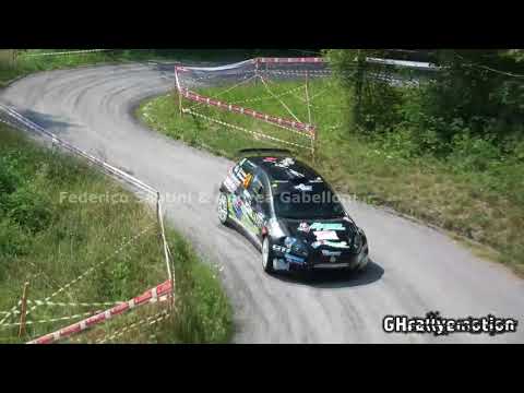 Federico Santini & Andrea Gabelloni - C.I. WRC 53° RALLY DEL FRIULI VENEZIA GIULIA 2017