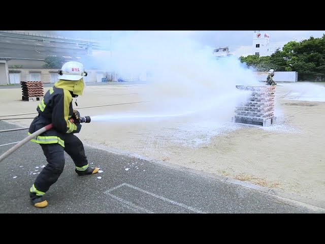 Vídeo relacionado con Papo Escudo contra Incendios - PANOPLIAS DE Espuma