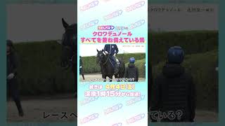 大阪杯 GⅠ トレセン直撃取材！　#競馬 #大阪杯 #クロワデュノール #北村友一 騎手