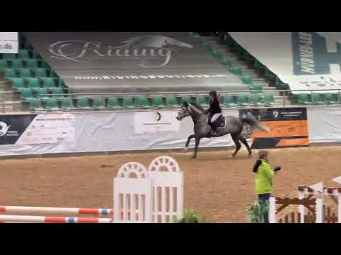 KENSINGTON (7yo Zirocco Blue) 02.22 Kreuth - 125/130 cm