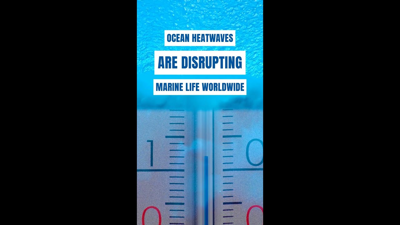 Can sustainable fishing help protect our oceans from rising temperatures?