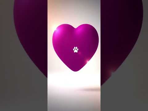 Vídeo de Bidu