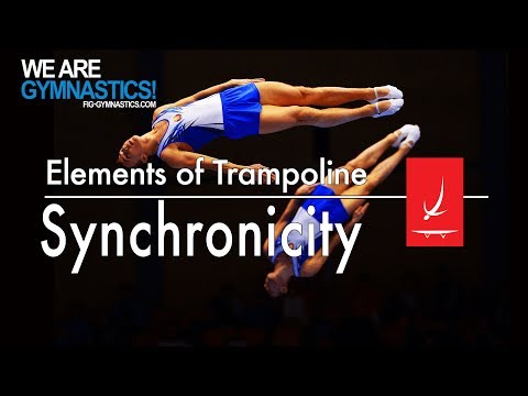 Elements of Synchronised Trampoline - SYNCHRONICITY