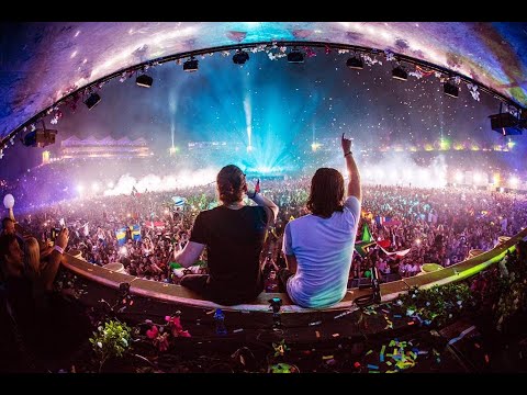 Dimitri Vegas & Like Mike vs Ummet Ozcan  -The Hum (LIVE Tomorrowland 2016)