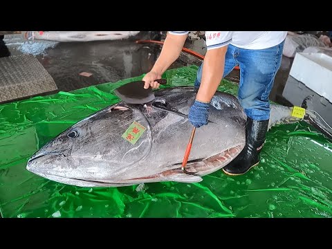 Amazing ! 250KG Giant Bluefin Tuna Versus World's Sharpest Knife