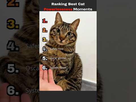 Ranking the funniest 