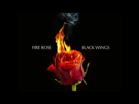 KAREN SONG BLACK WINGS - ( FIRE ROSE )