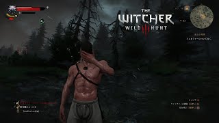 石仮面にしか見えない「The witcher 3 wild hunt」part7