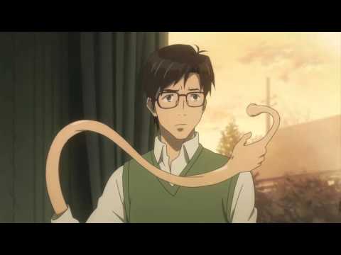 Parasyte Migi Logic