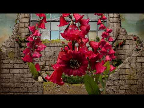 Video thumbnail for Deep Red Bells