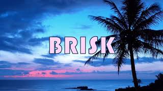 INDICA - Brisk (Audio)