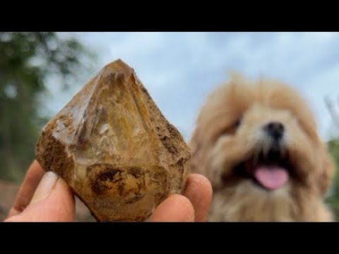 Unearthed Crystals