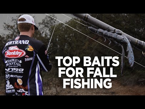 Josh Bertrand’s Top Baits for Fall Fishing | Major League Lessons