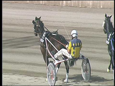 Trotto 27/05/2016 - 5° corsa