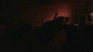 Wolf Parade - Language City