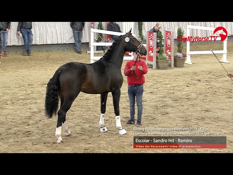 Hengst v. Escolar - Sandro Hit - Ramiro