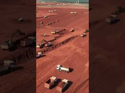 A maior fábrica de celulose do mundo fica no Brasil