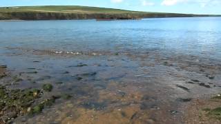 Inganess Bay and the wreck of the Juanita, Orkney, August 2015
