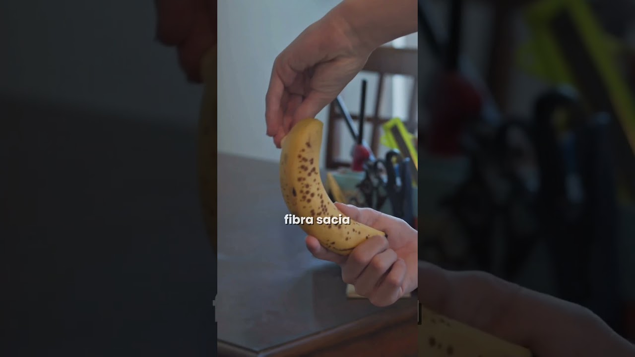 Jorge Emilio Navarro Palmera-70