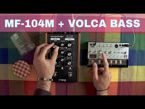 MOOG MF-104M + KORG VOLCA BASS ~ Will They Pair? Ep.01