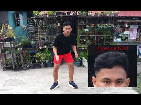 5 Basic Skills in Badminton