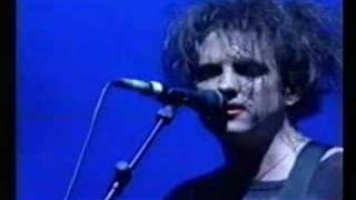 cure glastonbury 95 jupiter crash