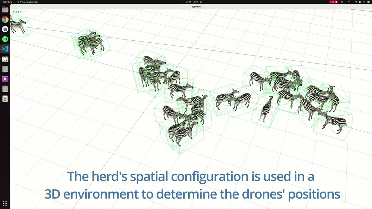 Drone Swarms for Animal Monitoring: A Method for Collecting High-Quality Multi-Perspective Data