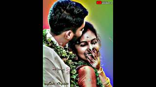 Download lagu kalyana maalai kondadum penne song mp3 Download lagu kalyana maalai kondadum penne song mp3