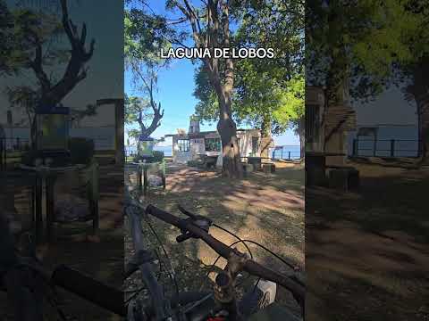 LAGUNA DE LOBOS HOY