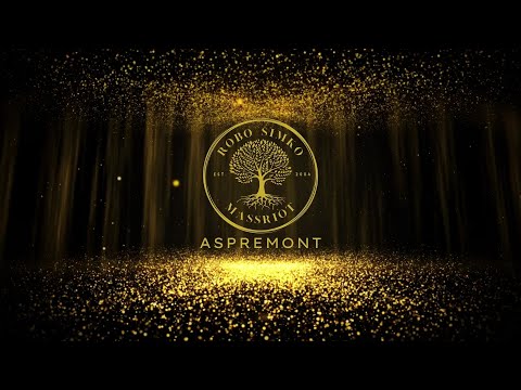 Robo Simko a Massriot - Aspremont (feat. SILBAND & Ľubo Breznen)  /LYRIC VIDEO/