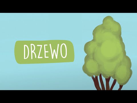 Małe TGD - Drzewo