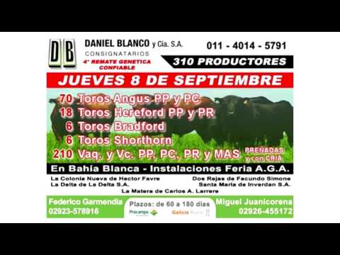 DANIEL BLANCO Y CIA-REMATE EN BAHIA BLANCA