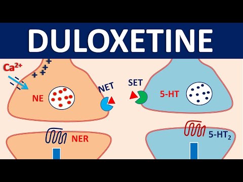 Dulata 40 mg duloxetine gastro resistant tablets