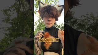 Therians DO identify as animals, stop spreading misinfo (ik im human) #therian #fox #alterhuman