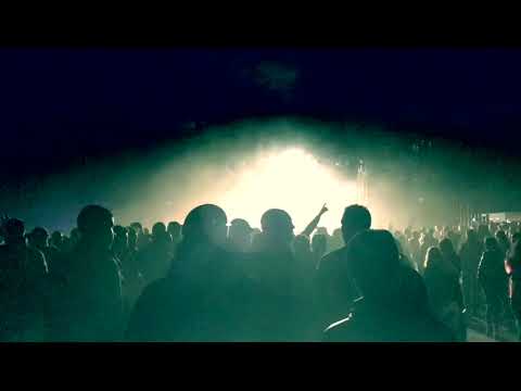 Flinke Pink Into The Wild|2019 Black Edition