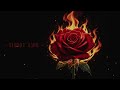 Bloody Ishq Classical Visualizer Techrozo