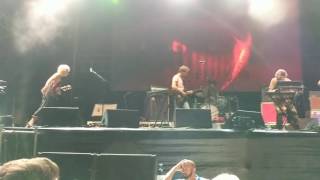 Pond - Whatever Happened to the Million Head Collide (Live at Falls Festival Byron, 2016/17)